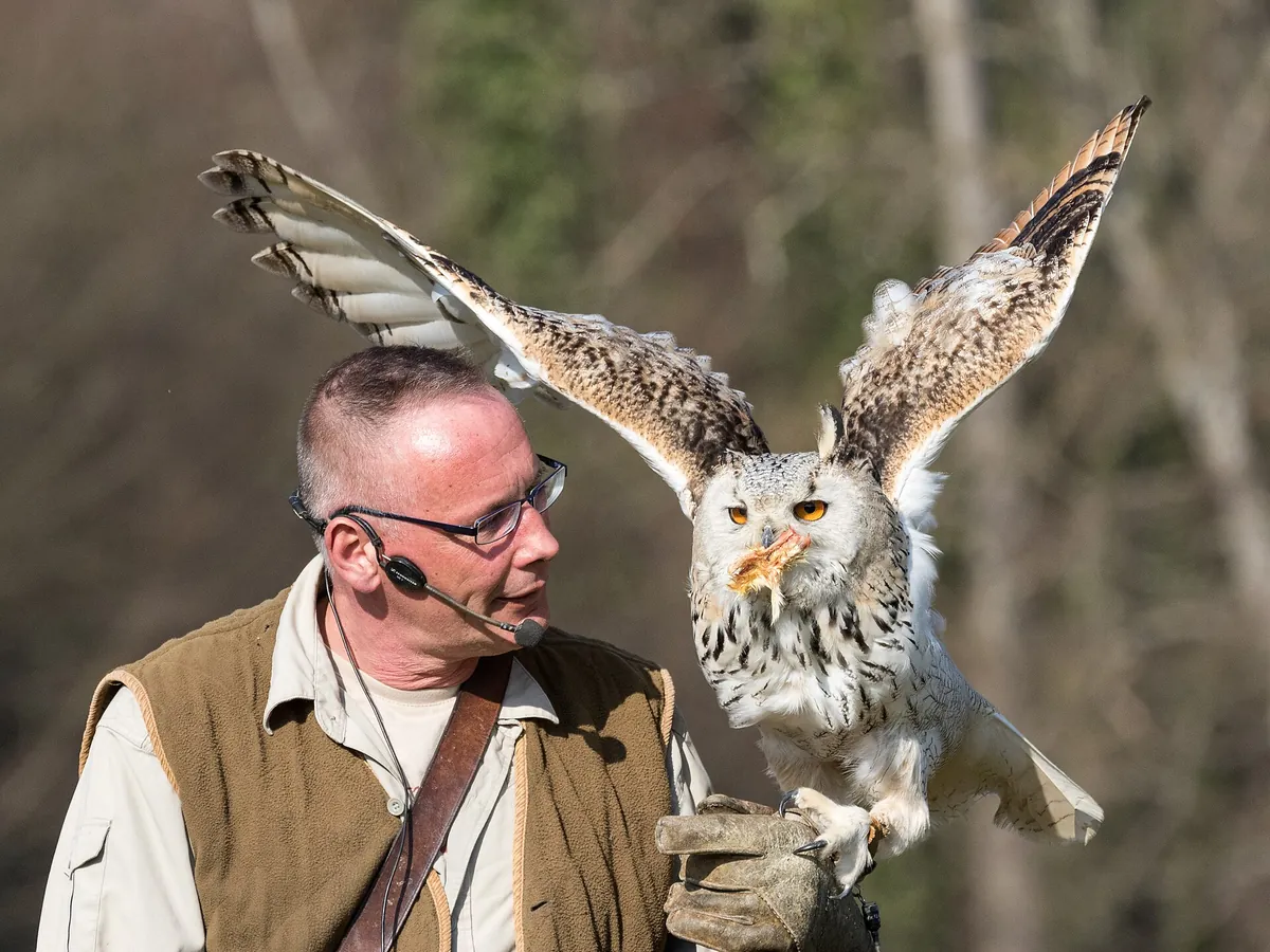Wild- und Freizeitpark Allensbach