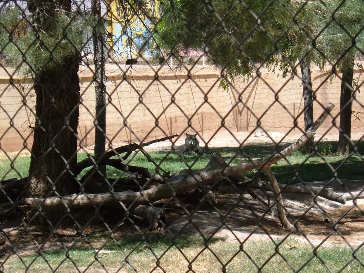 Alameda Park Zoo