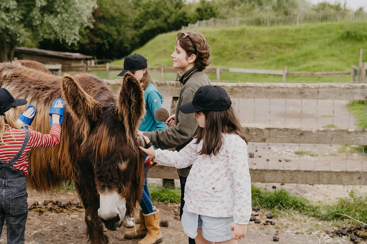 Parc animalier de Sainte-Croix