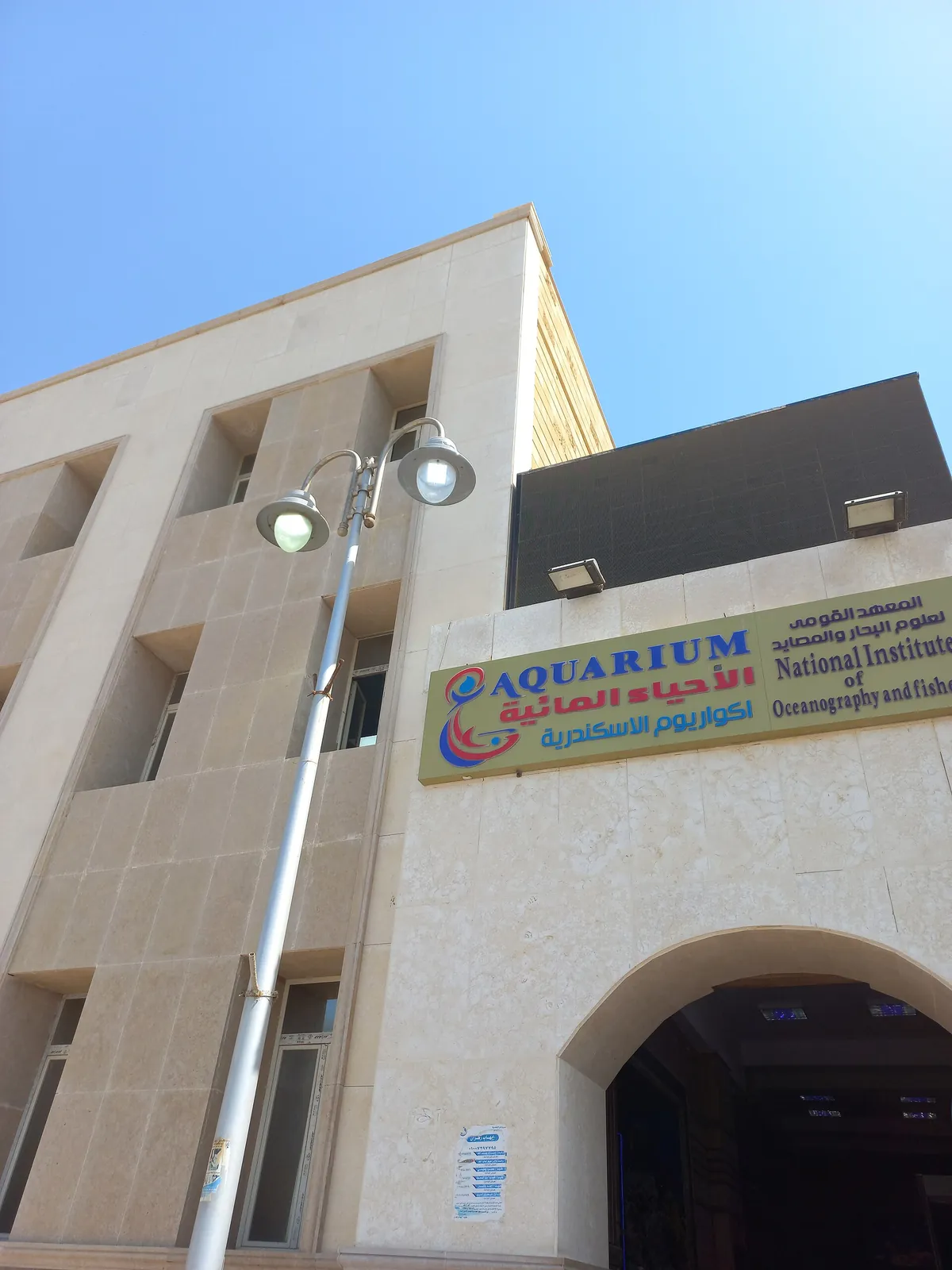Alexandria Aquarium