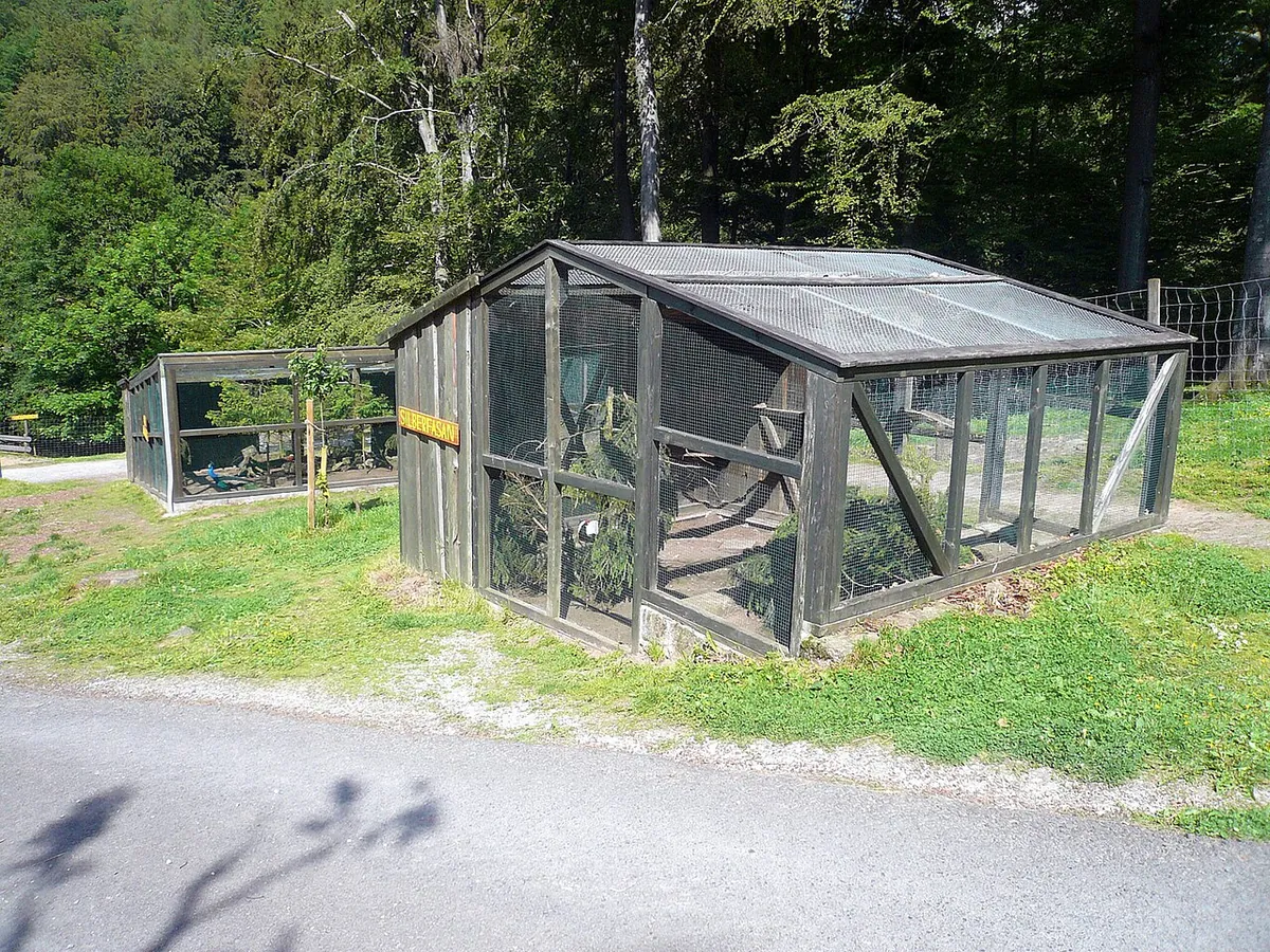 Wildpark Gersfeld