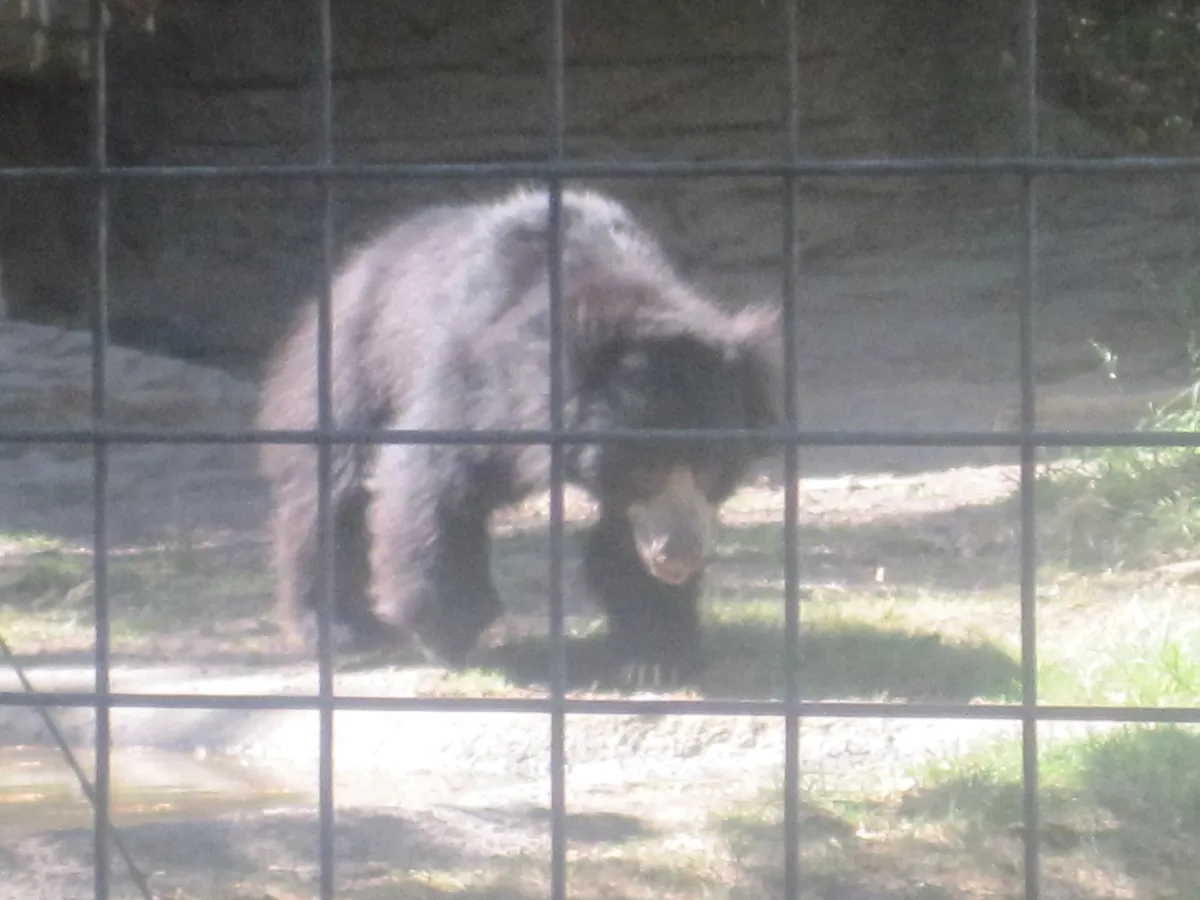 Lee Richardson Zoo