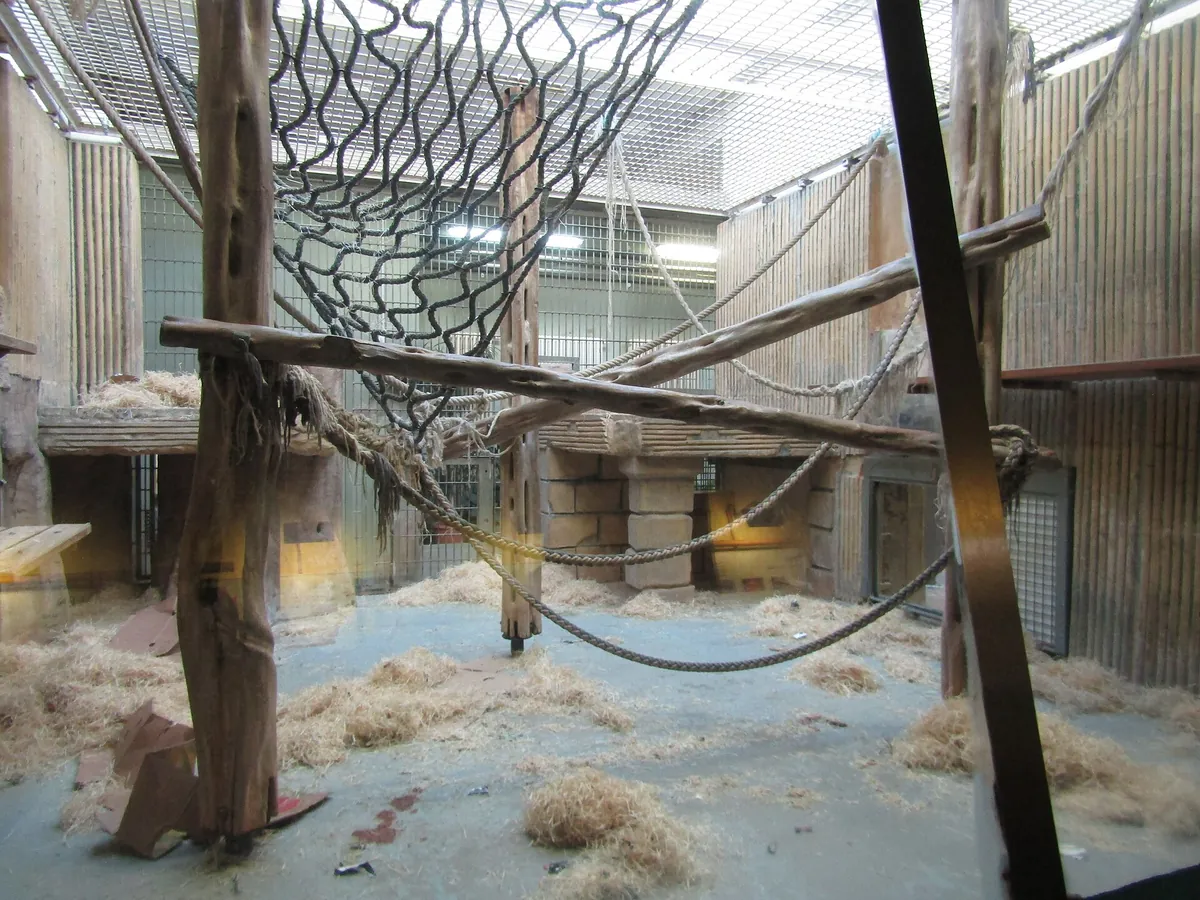 Zoo Dresden