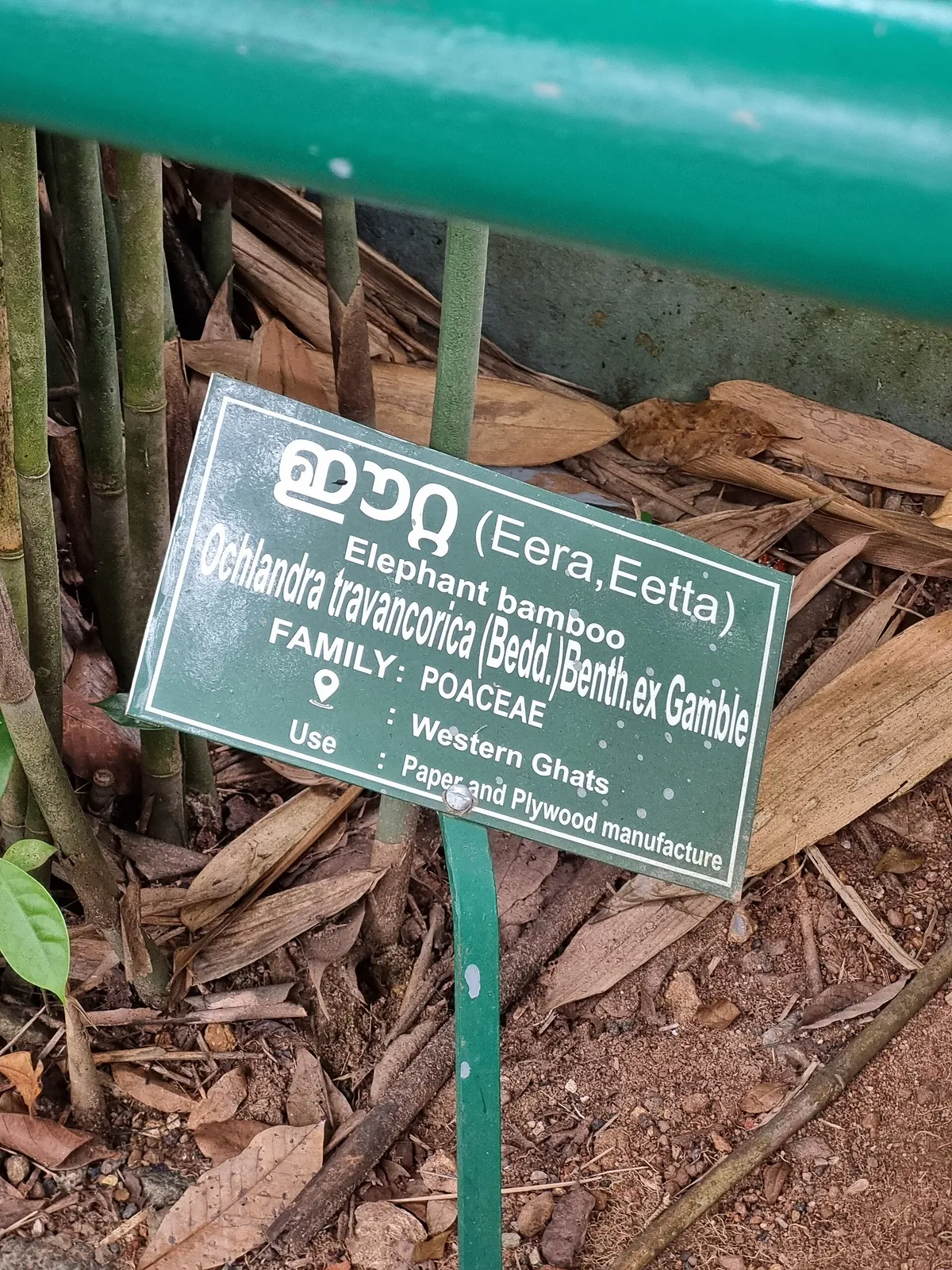 Thiruvananthapuram Zoo