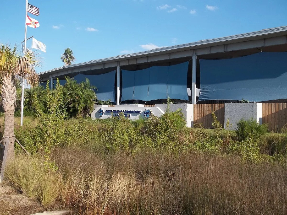 Mote Marine Laboratory and Aquarium