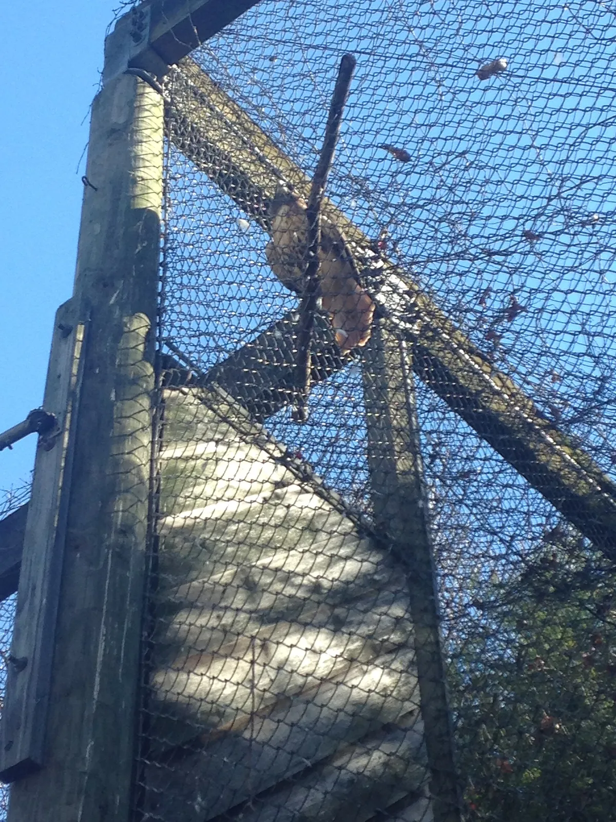 Western North Carolina Nature Center