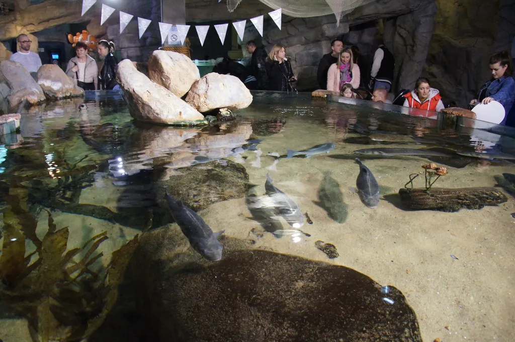 Blue Planet Aquarium
