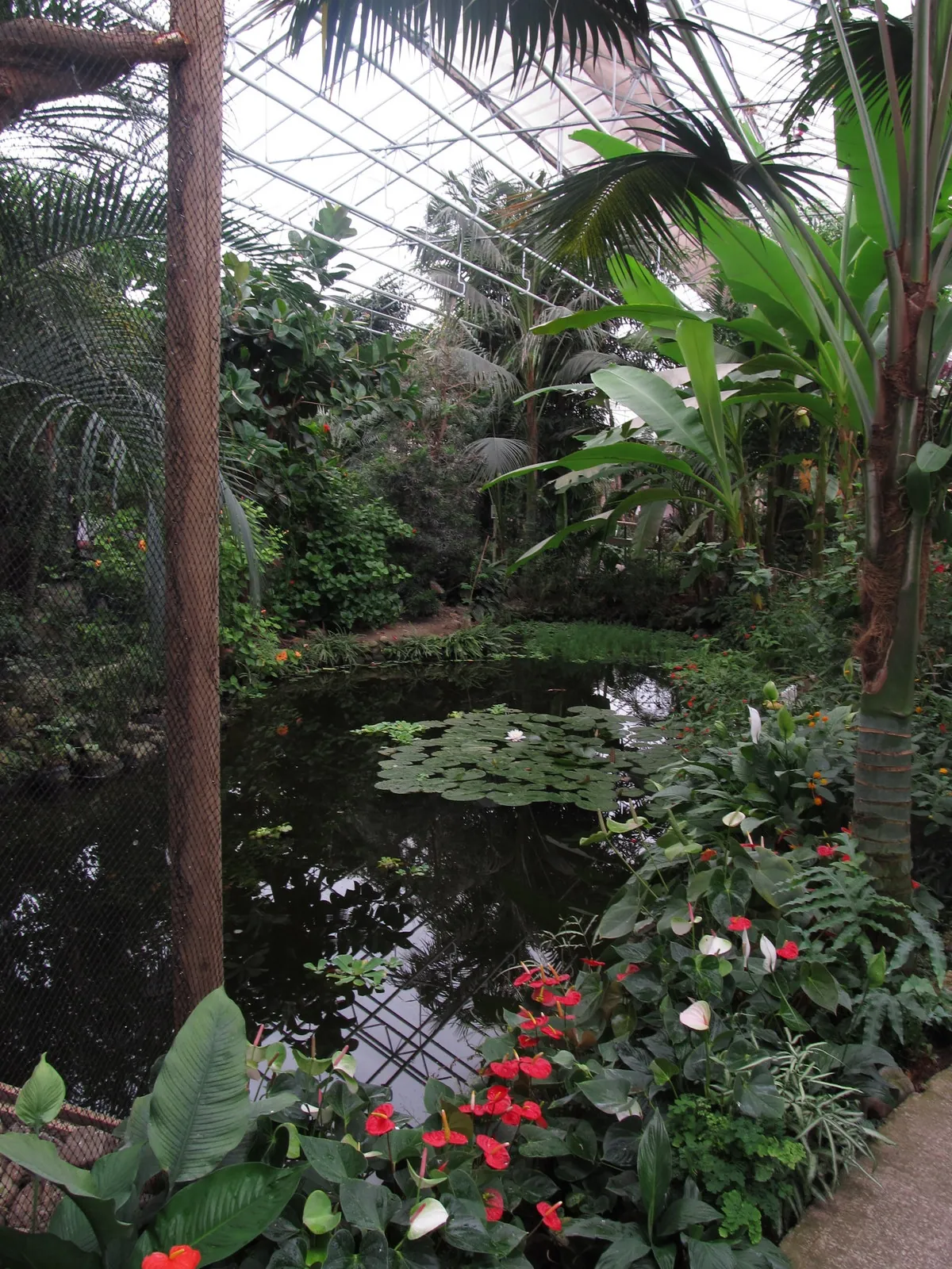 Berkenhof 's Tropical Zoo & Vlindertuin