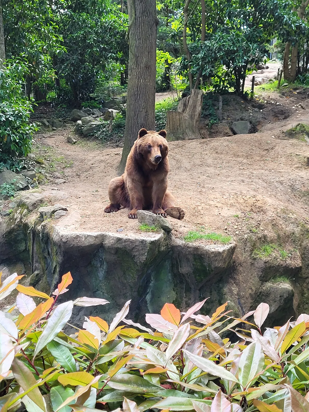 Zoo de La Flèche