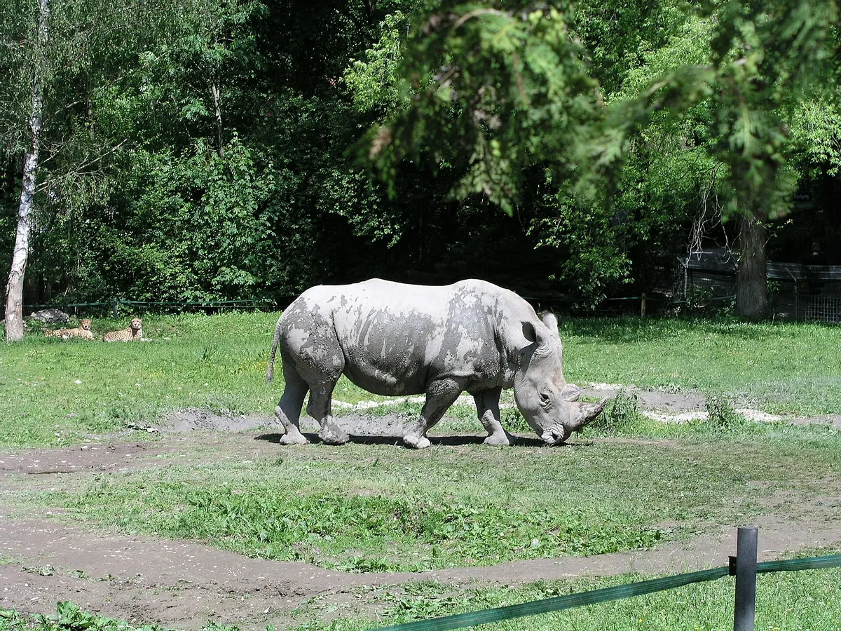 Zoo Schmiding