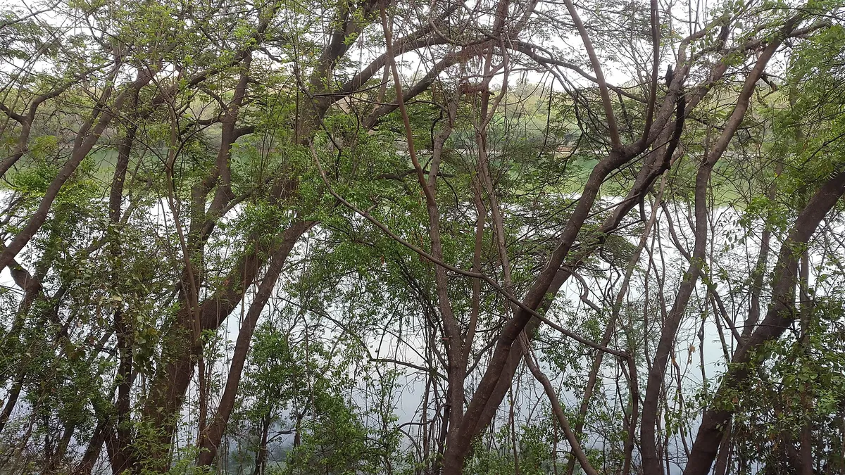 Rajiv Gandhi Zoological Park