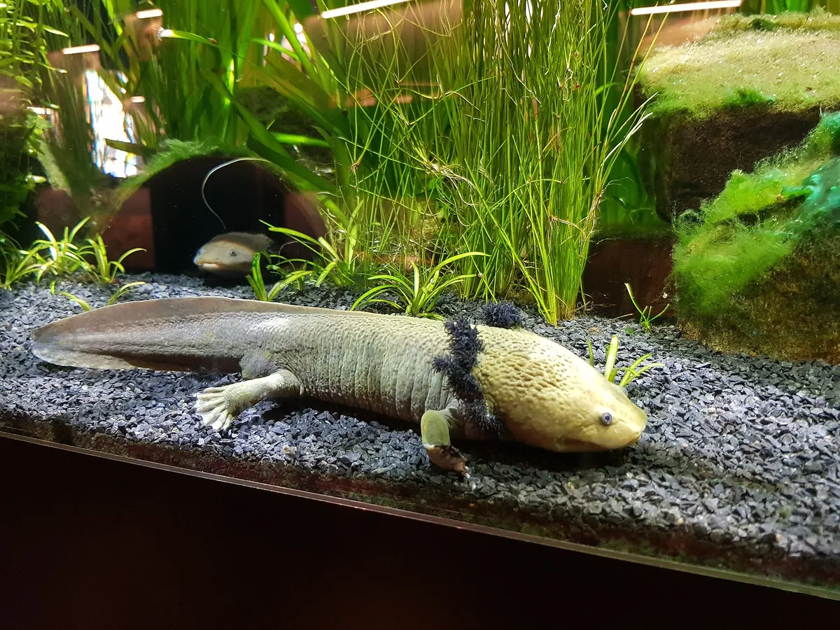 Aquarium Wilhelmshaven