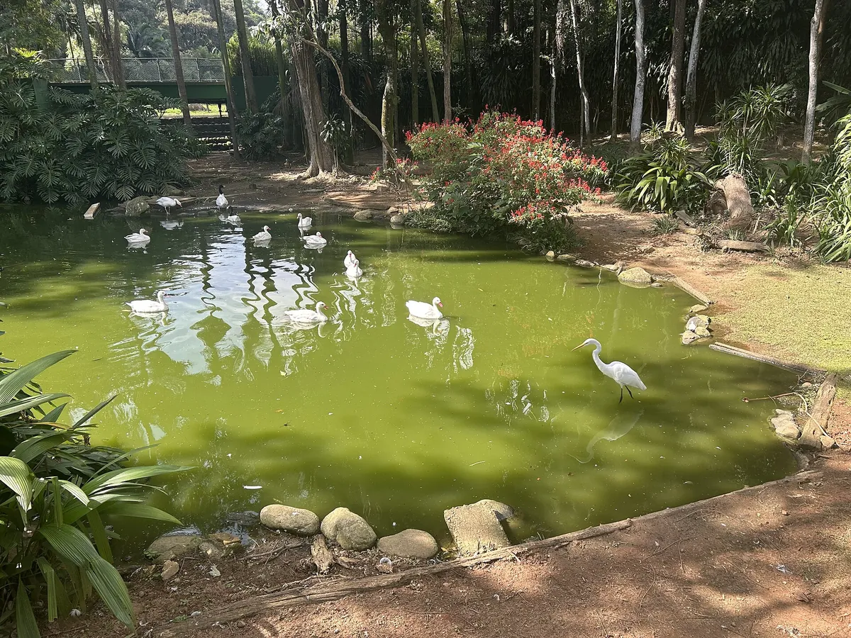São Paulo Zoo