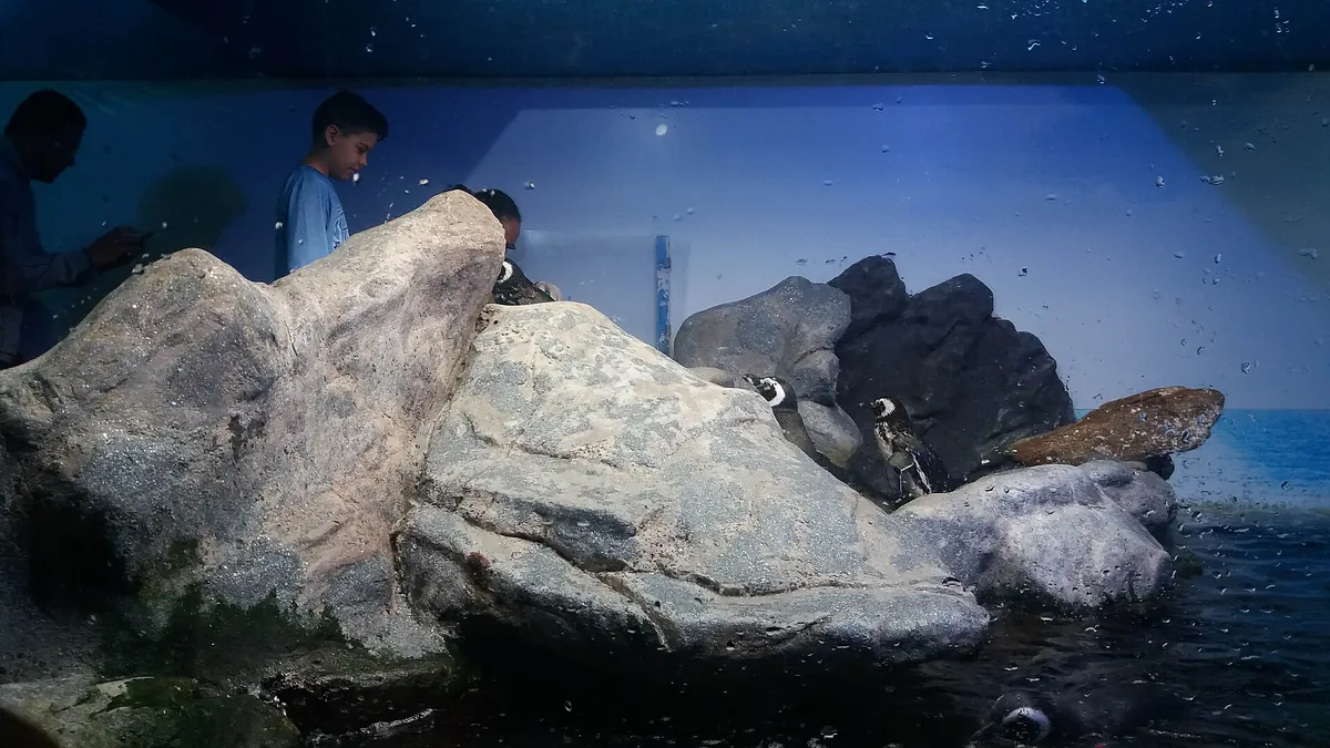 Aquário de Ubatuba