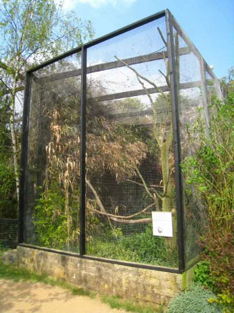 Linton Zoo Conservation Park