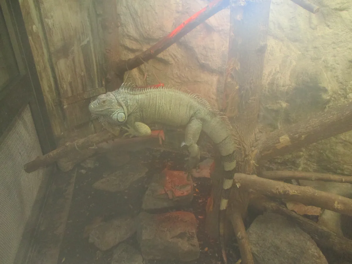 Osijek Zoo and Aquarium