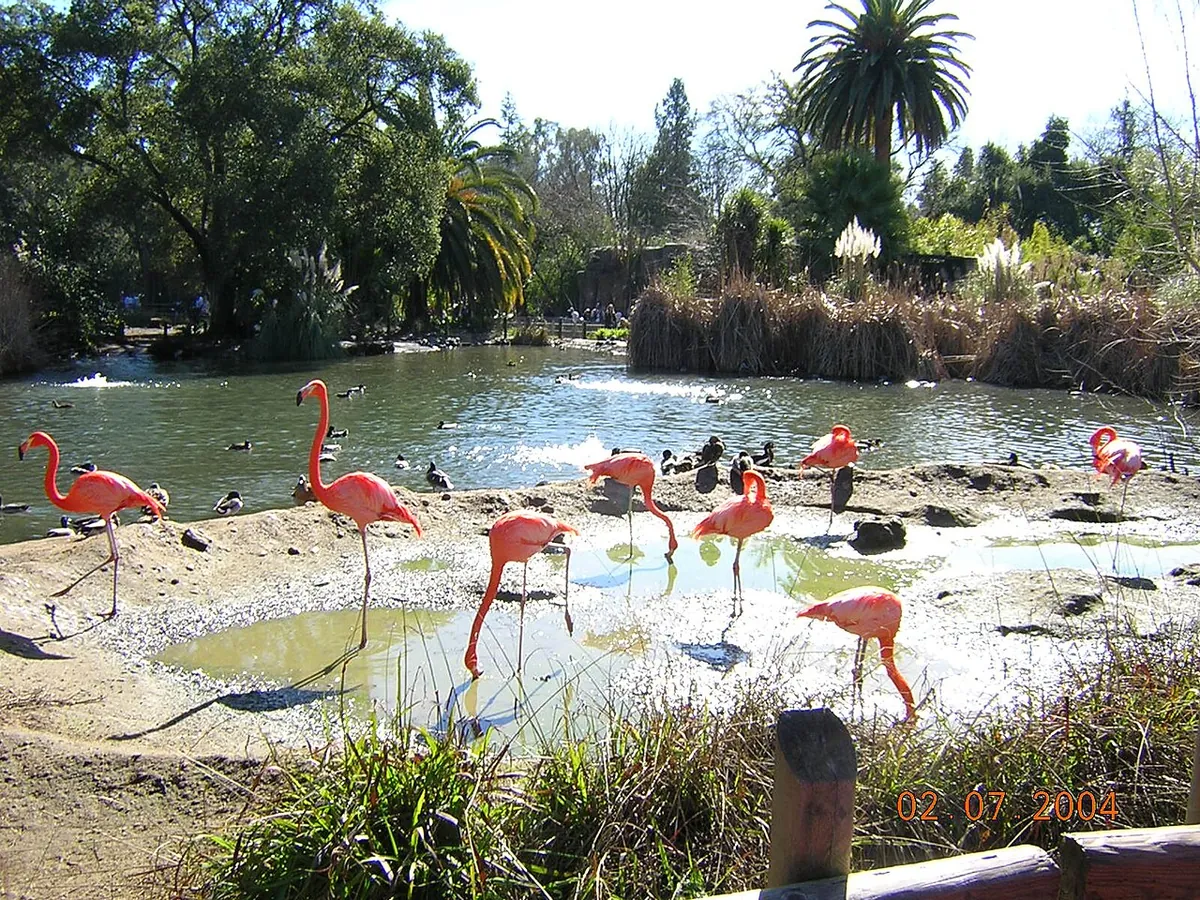 Sacramento Zoo
