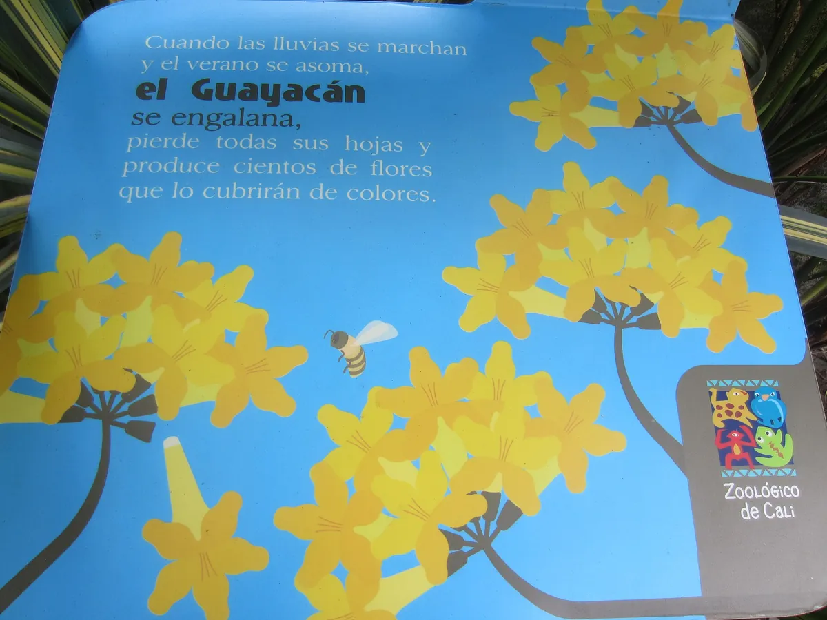 Zoológico de Cali