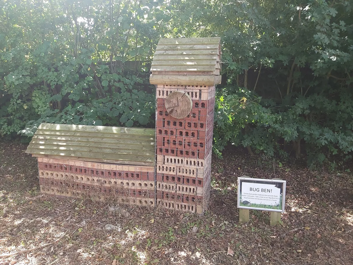 Beale Wildlife Park