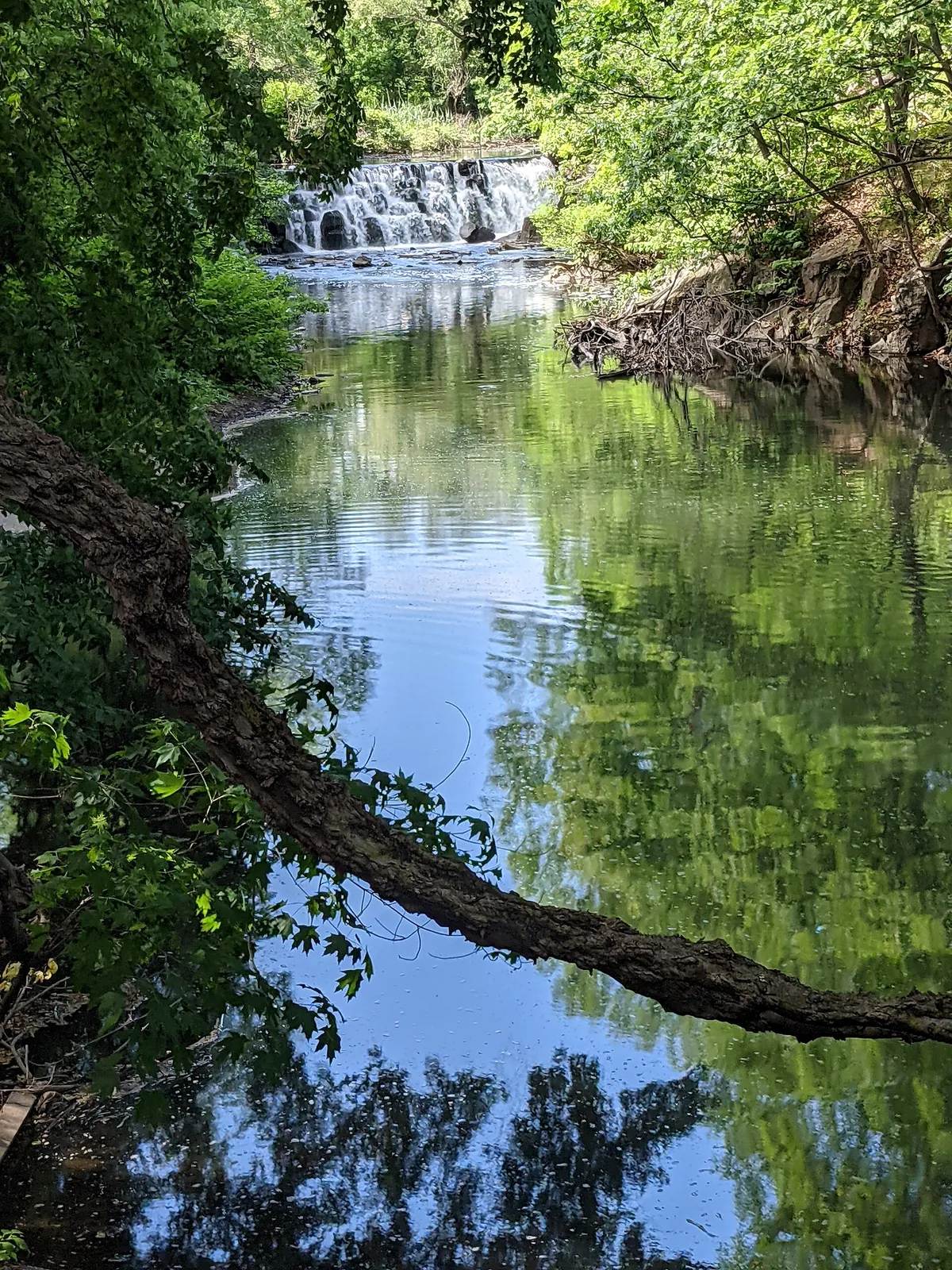 Bronx Zoo