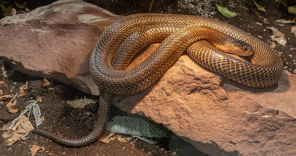 Exotarium Oberhof