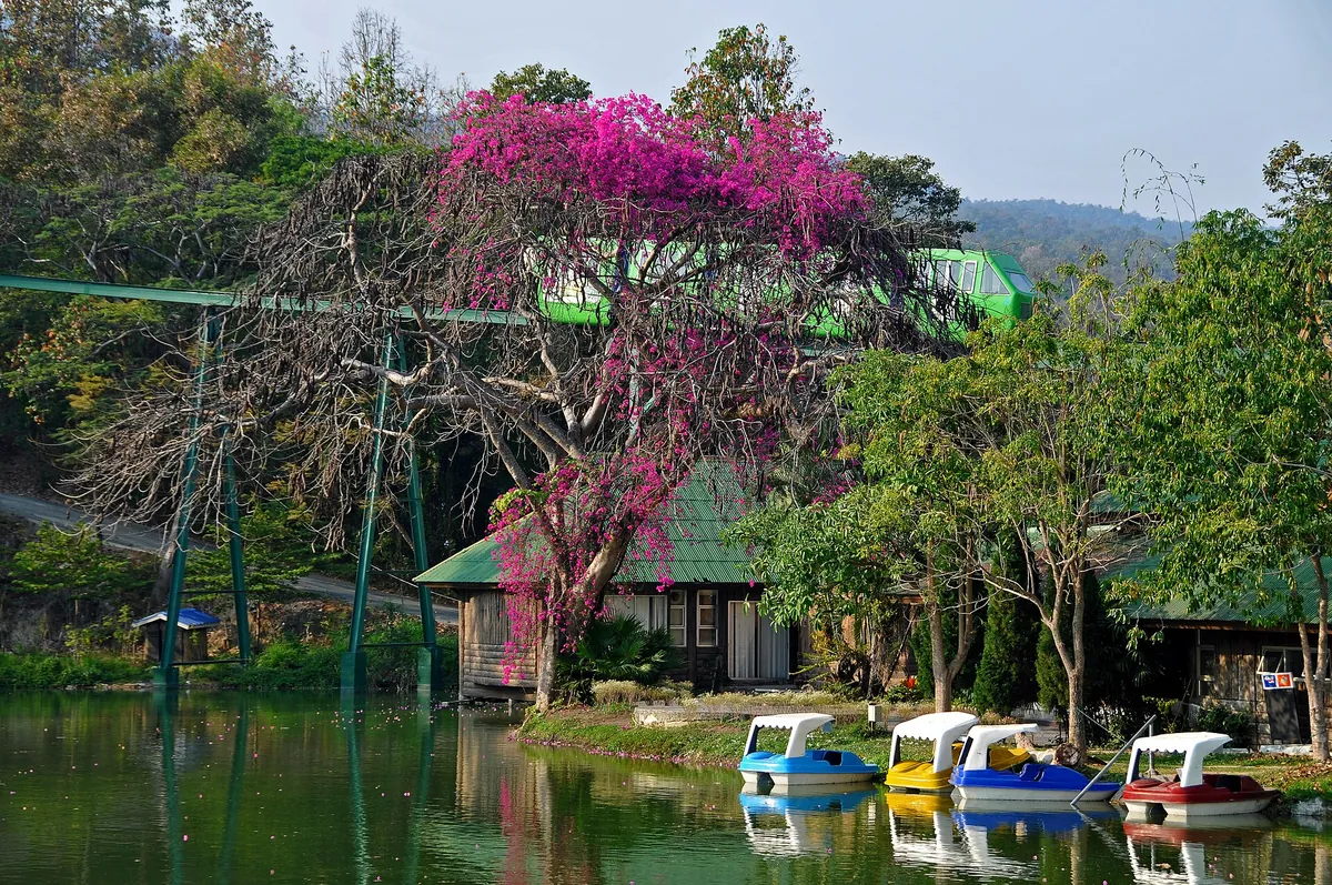 Chiang Mai Zoo