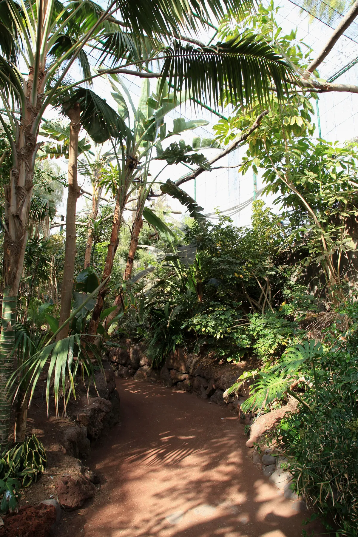 Oasis Park