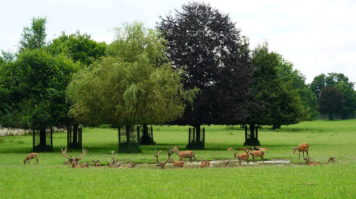 Tierpark Rosegg