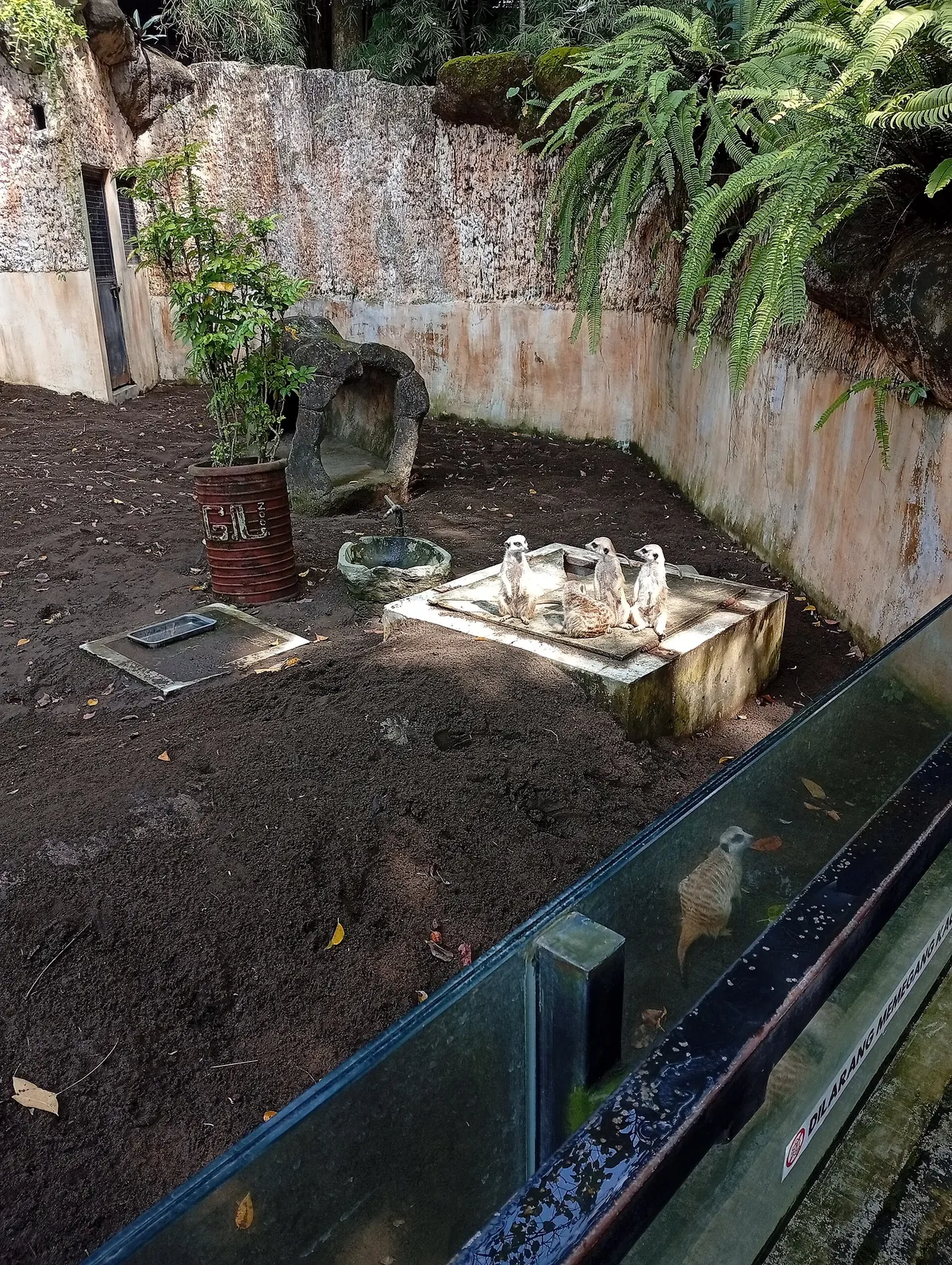 Gembira Loka Zoo