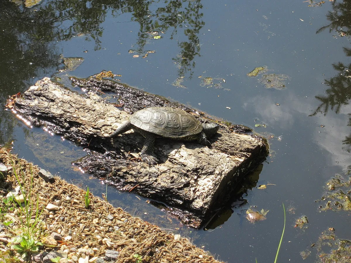 Wildpark Leipzig