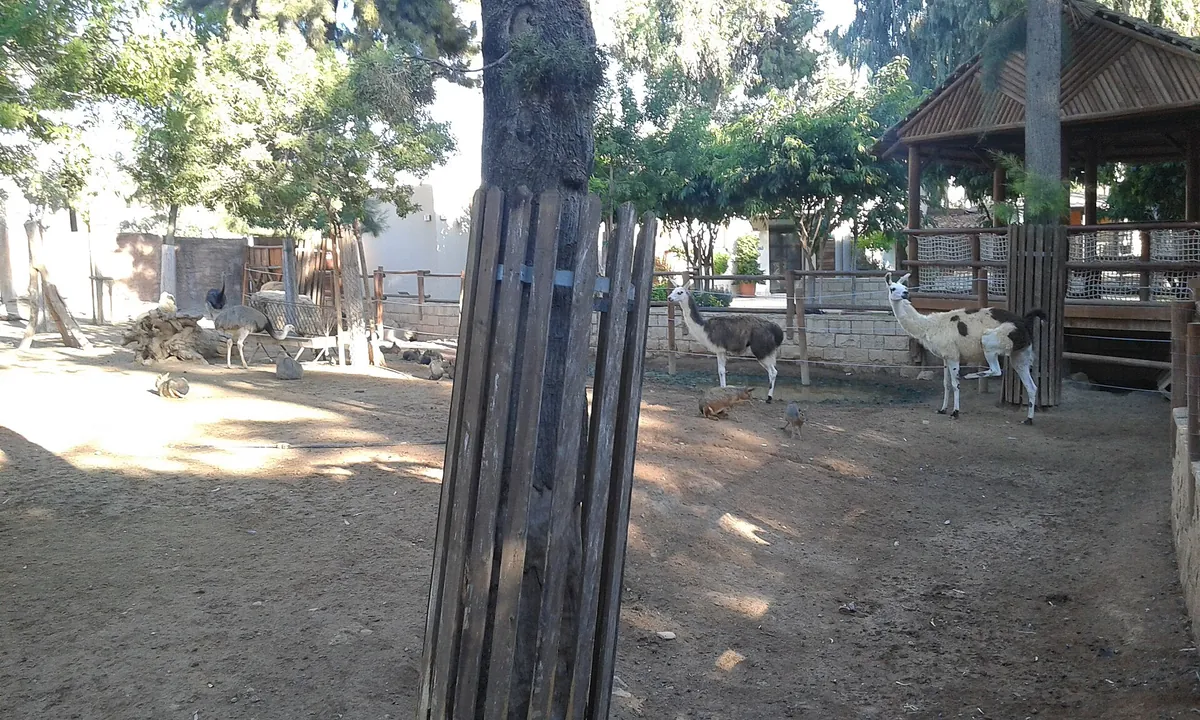 Limassol Zoo
