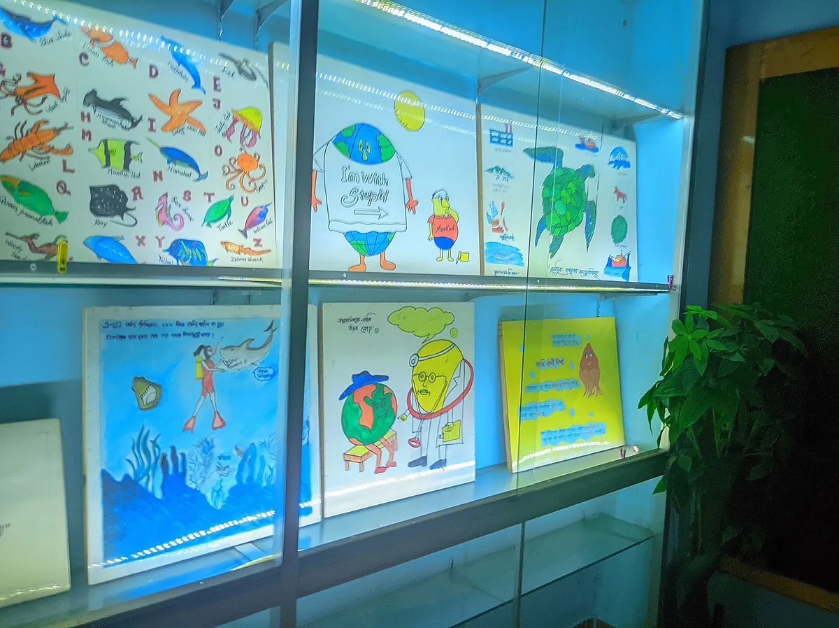 Radiant Fish World