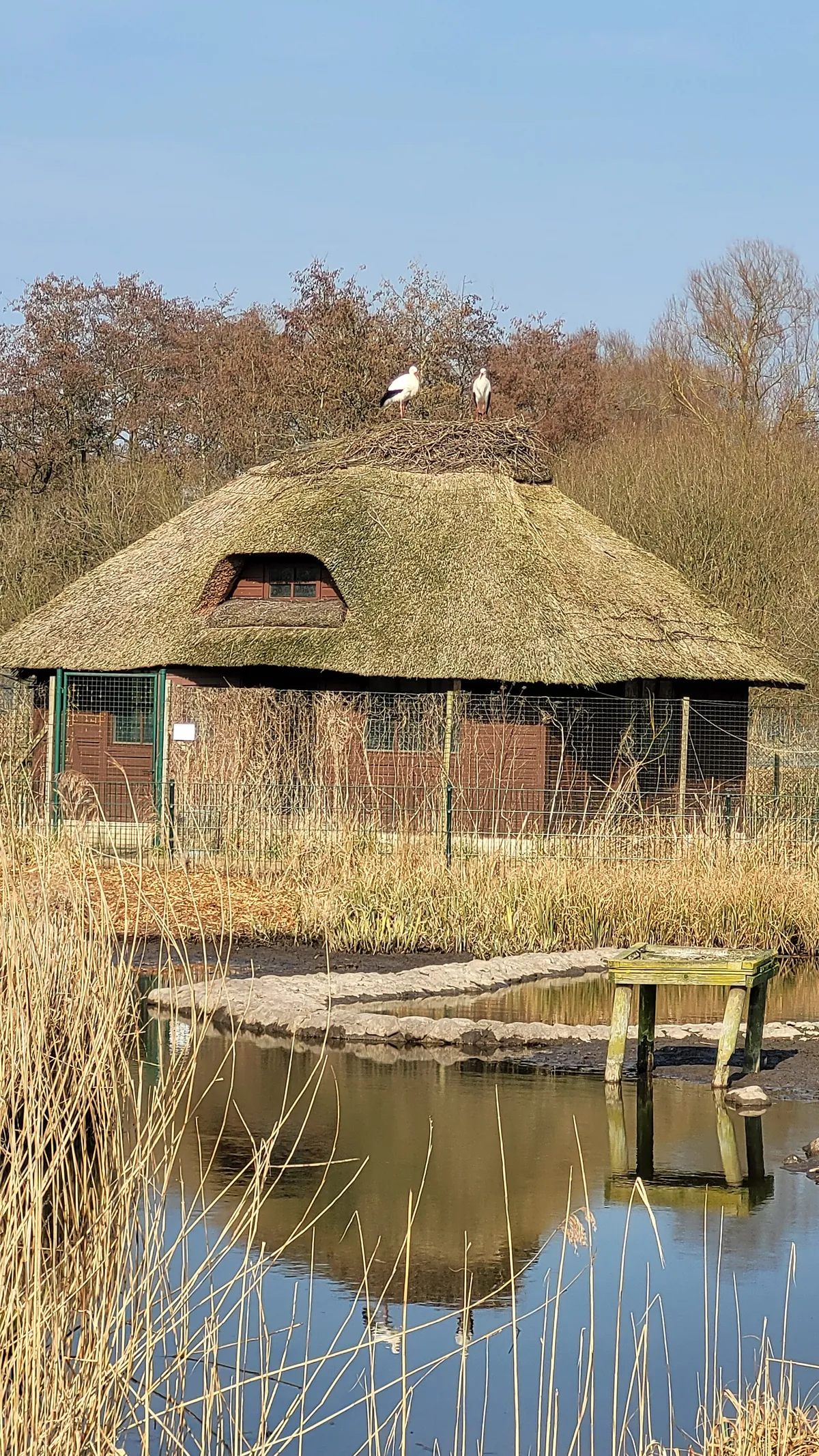 Vogelpark Niendorf