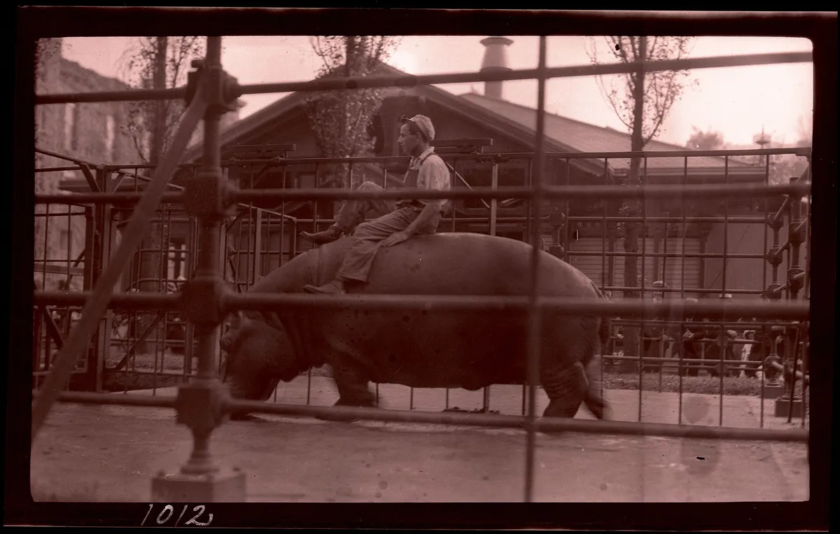 Central Park Zoo