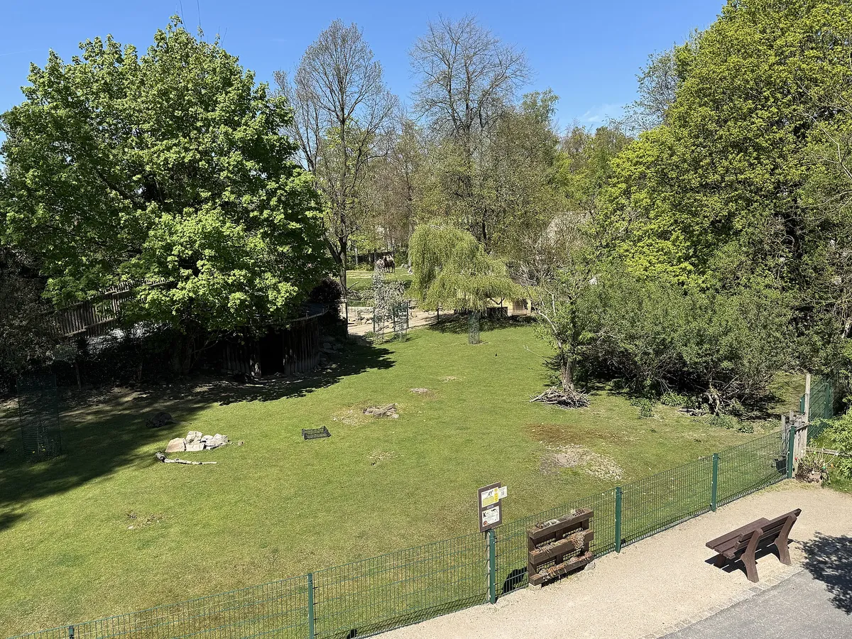 Tiergarten Falkenstein