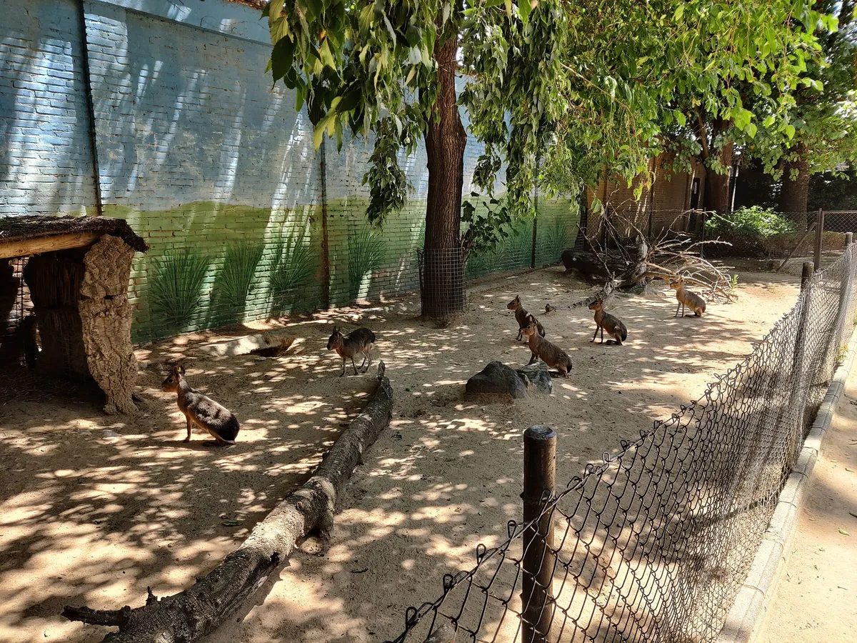 Zoobotánico Jerez