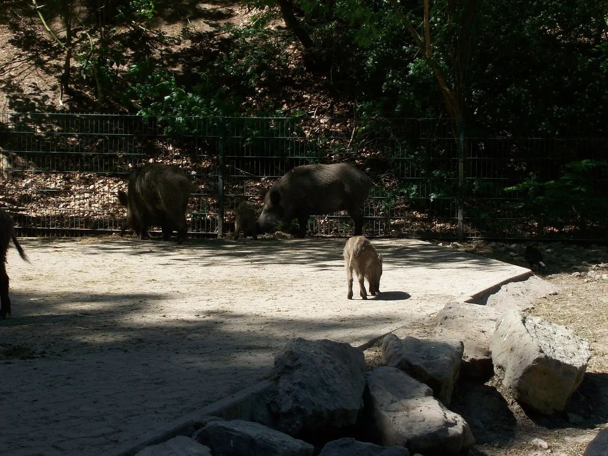 Heimat-Tierpark Olderdissen