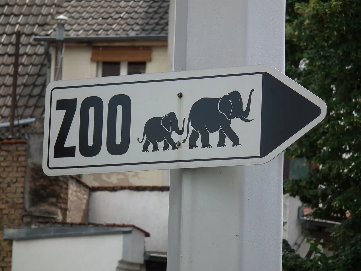 Zoo Heidelberg