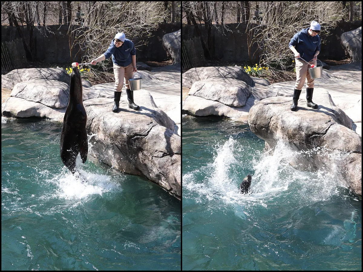 Seneca Park Zoo