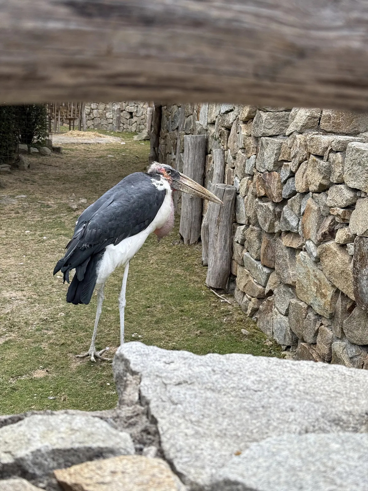 Jihlava Zoo