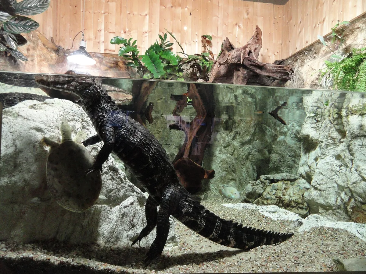 Aquarium du Limousin
