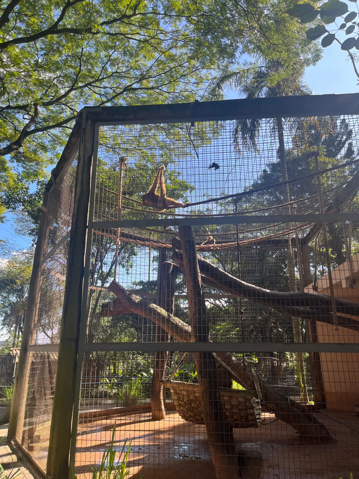 Municipal Zoological Park Quinzinho de Barros