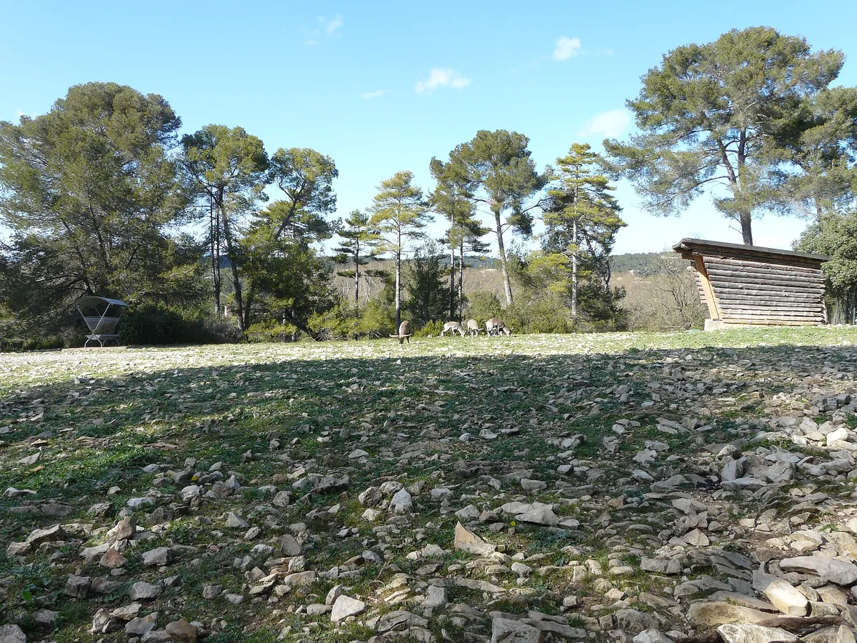 Parc zoologique de Montpellier