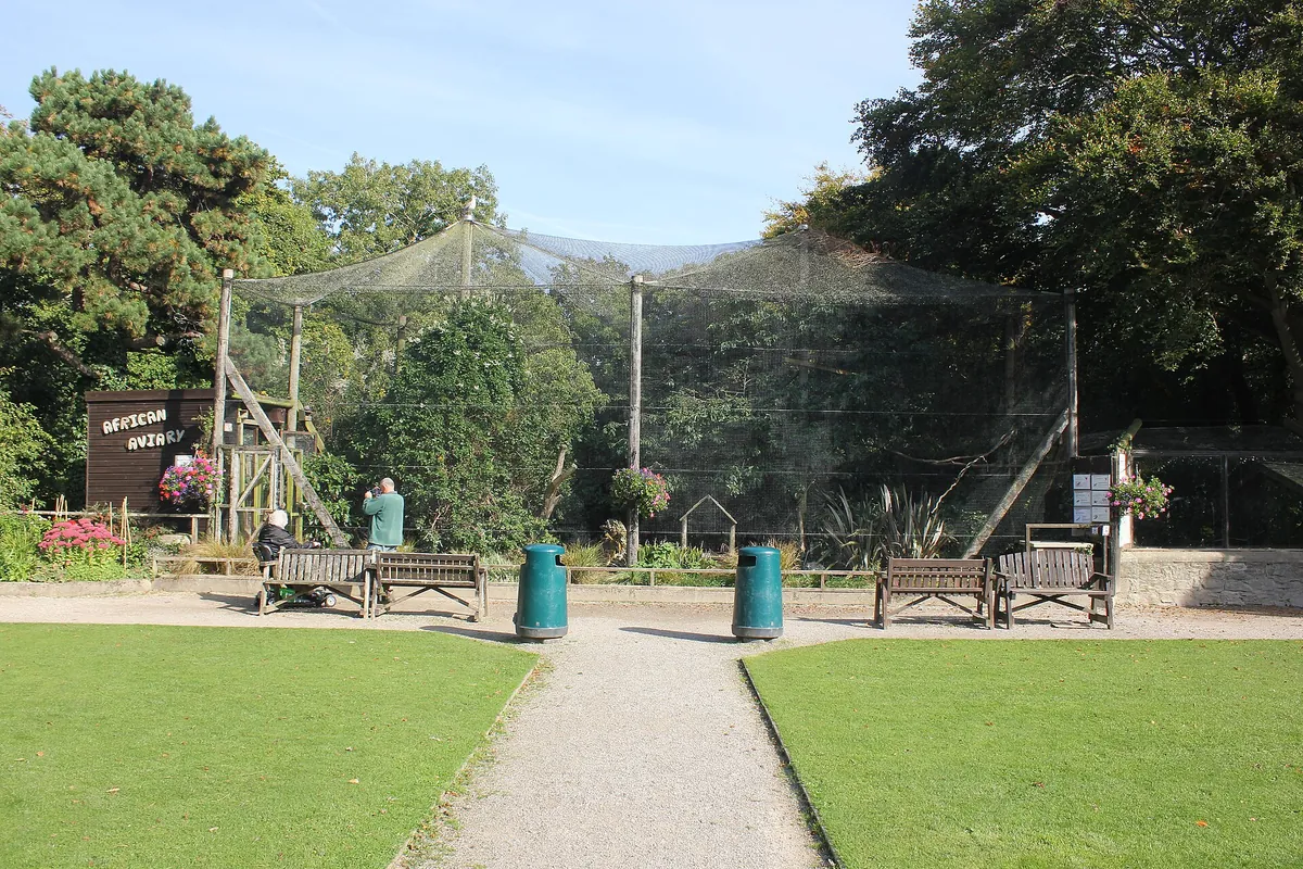 Welsh Mountain Zoo