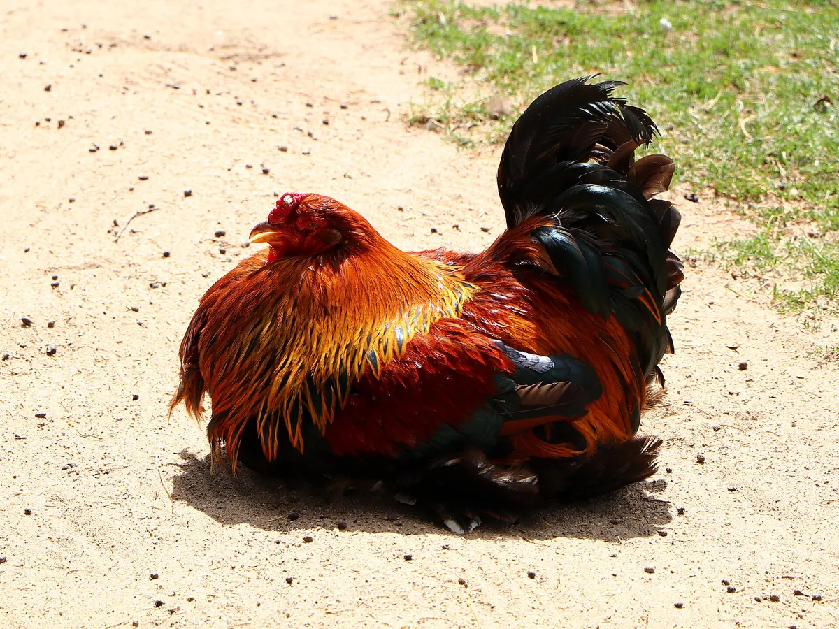 Tierpark Eilenburg