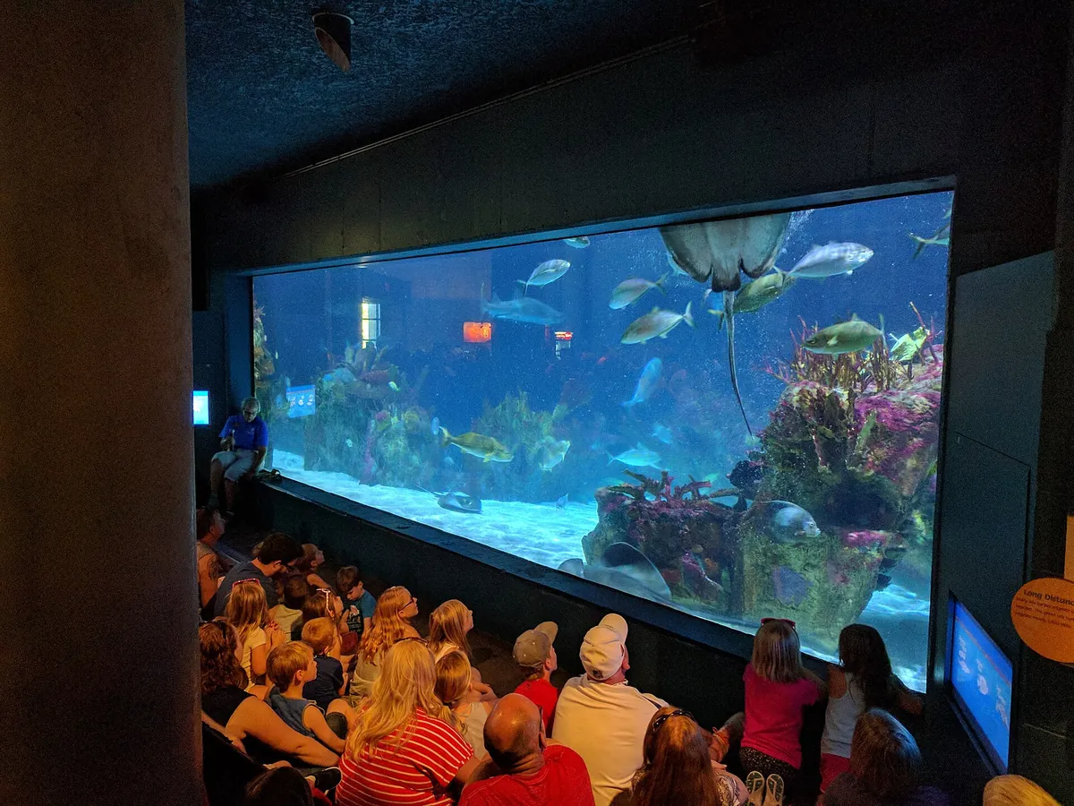 Minnesota Zoo