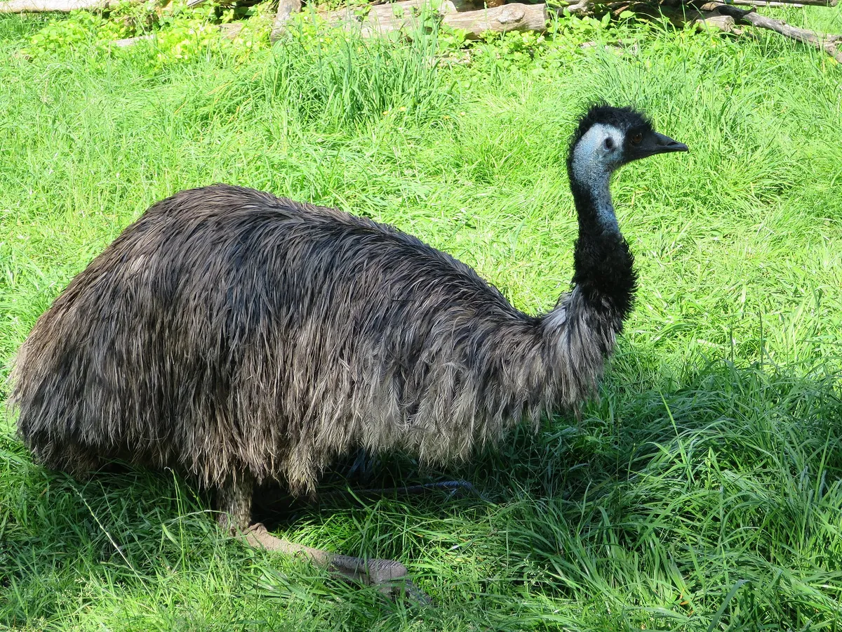 Raritätenzoo Ebbs