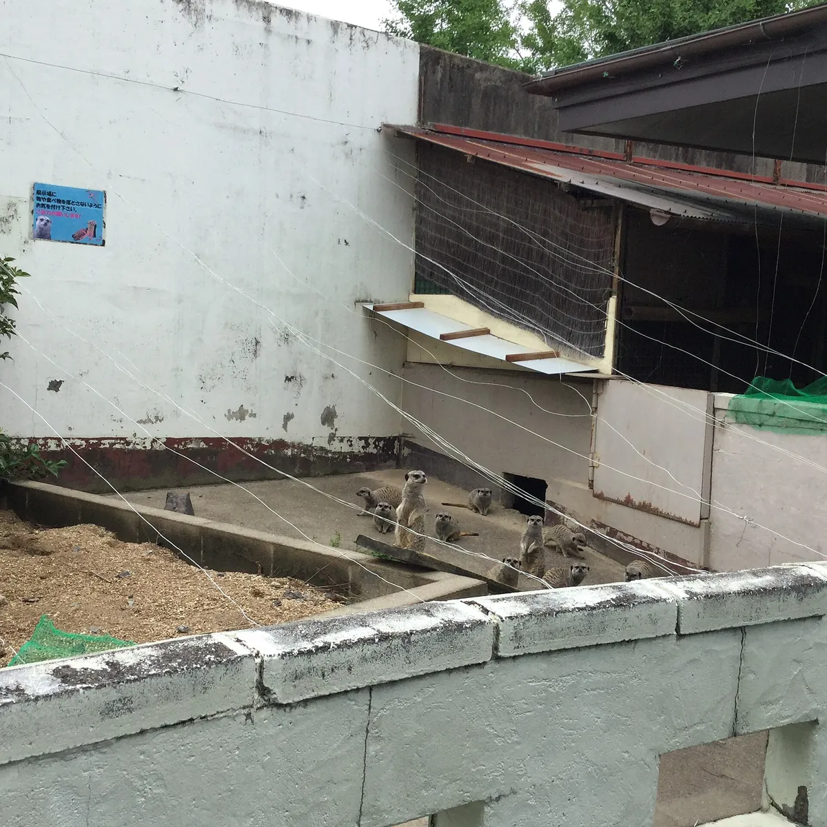 Tobu Zoo
