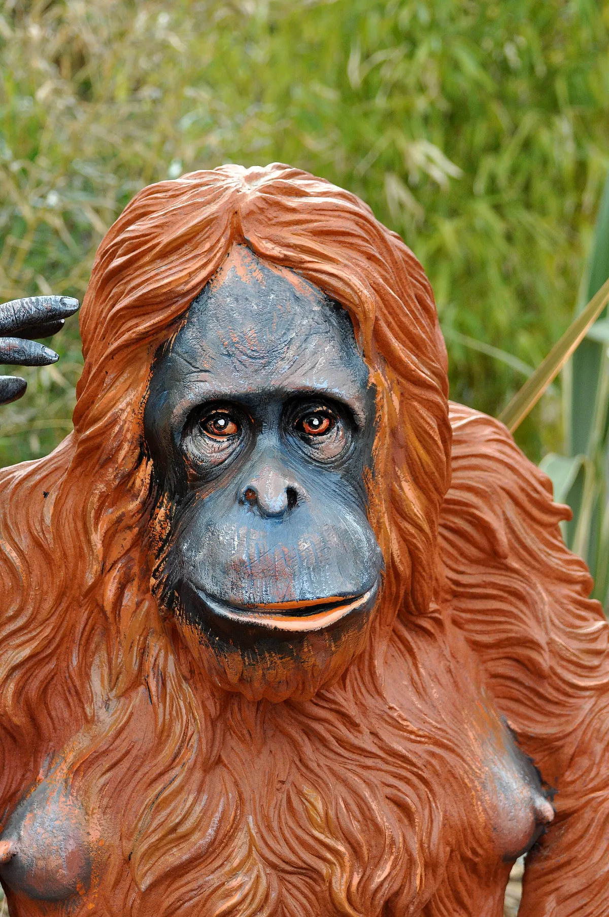 Colchester Zoo