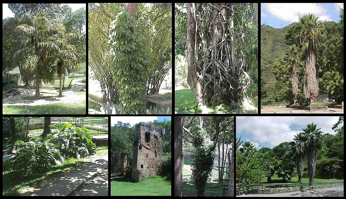 Parque Zoológico Caricuao